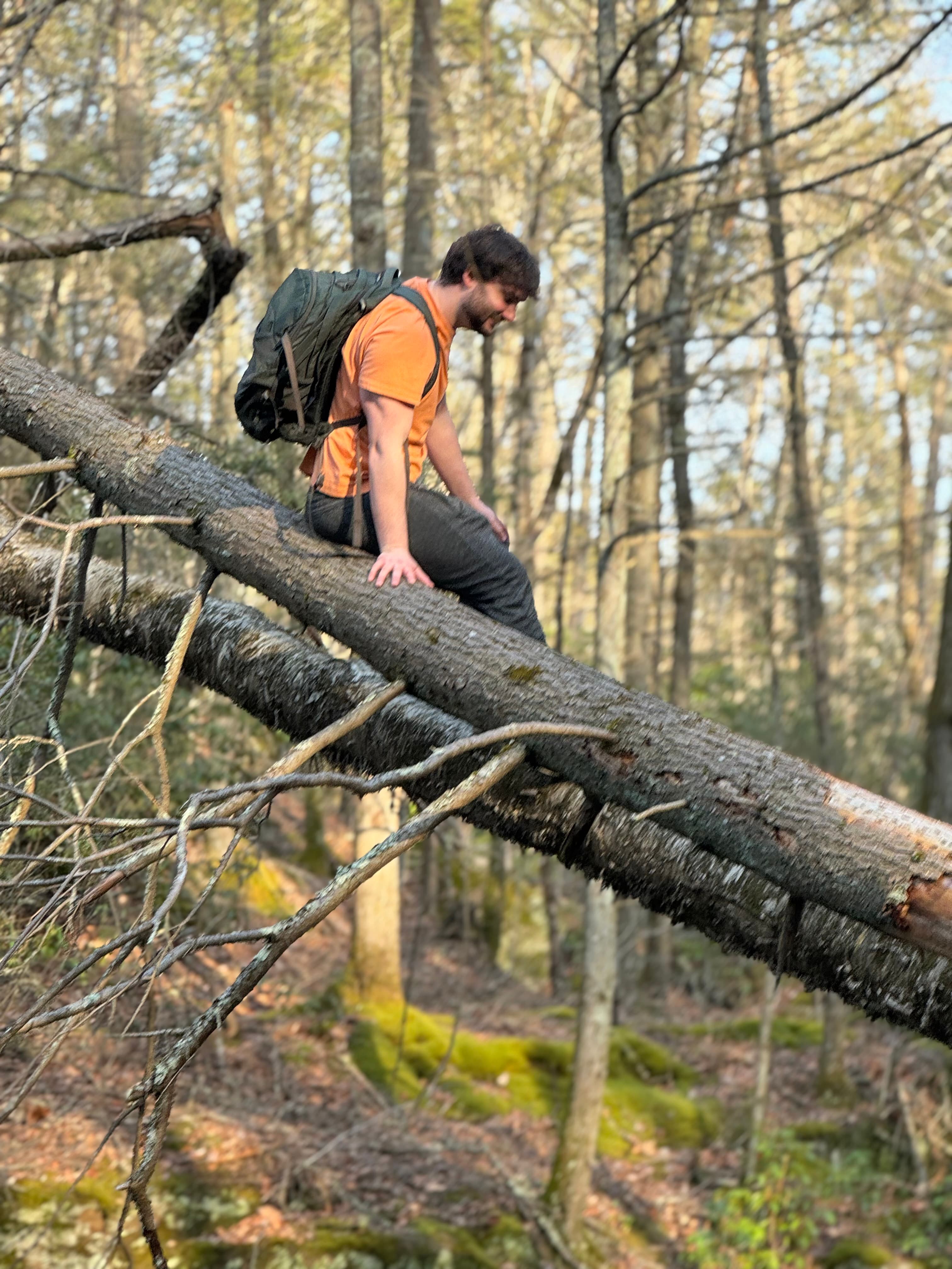Jeremy hiking on a fallen tree in the Connecticut woods